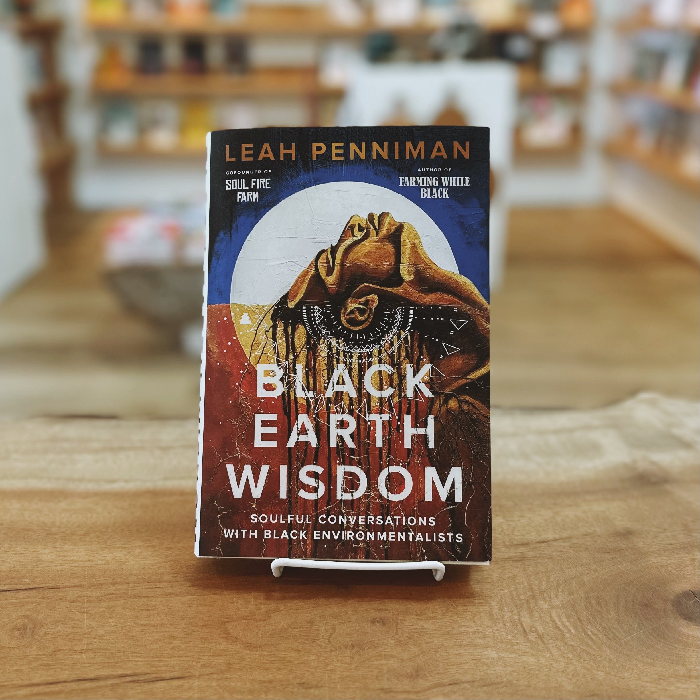 Black Earth Wisdom: Soulful Conversations with Black Environmentalists